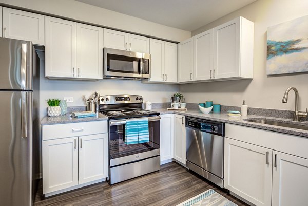 kitchen at Orion Arlington Lakes Apartments