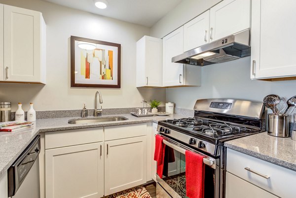 kitchen at Orion Parkview Apartments