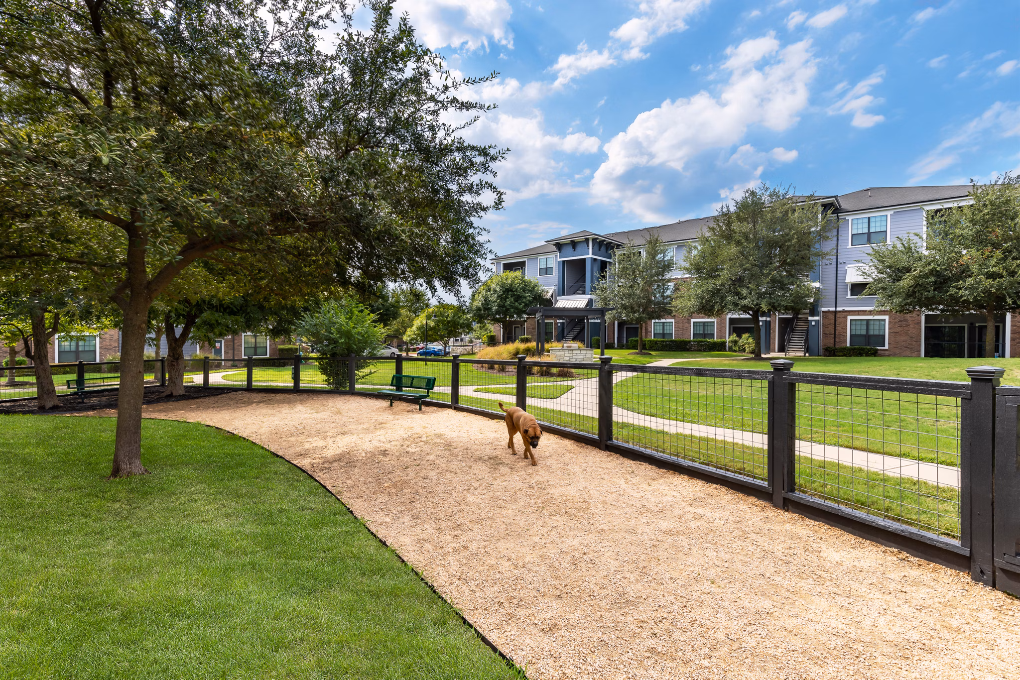 Dog park with agility equipment at The Oaks at Techridge Apartments in Austin, TX, offering luxury pet-friendly community living