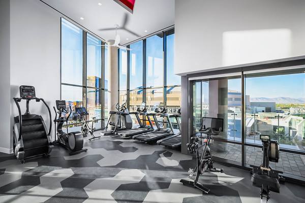 fitness center at The Ryan Apartments