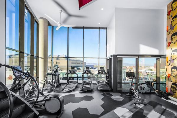 fitness center at The Ryan Apartments