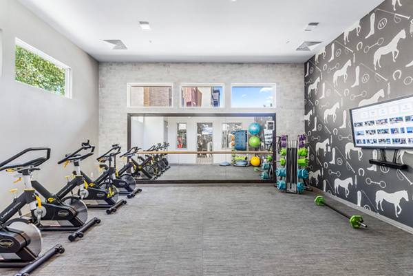 fitness center at Summerly at Zanjero Apartments