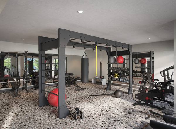 fitness center at Trails at Hunter's Lake Apartments