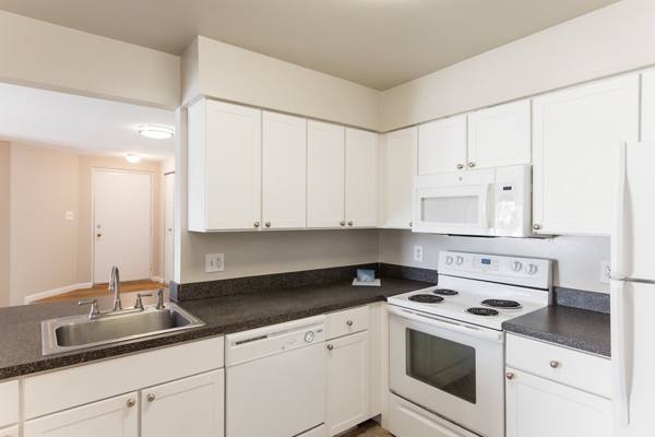 kitchen at Avana Oak Mill Apartments