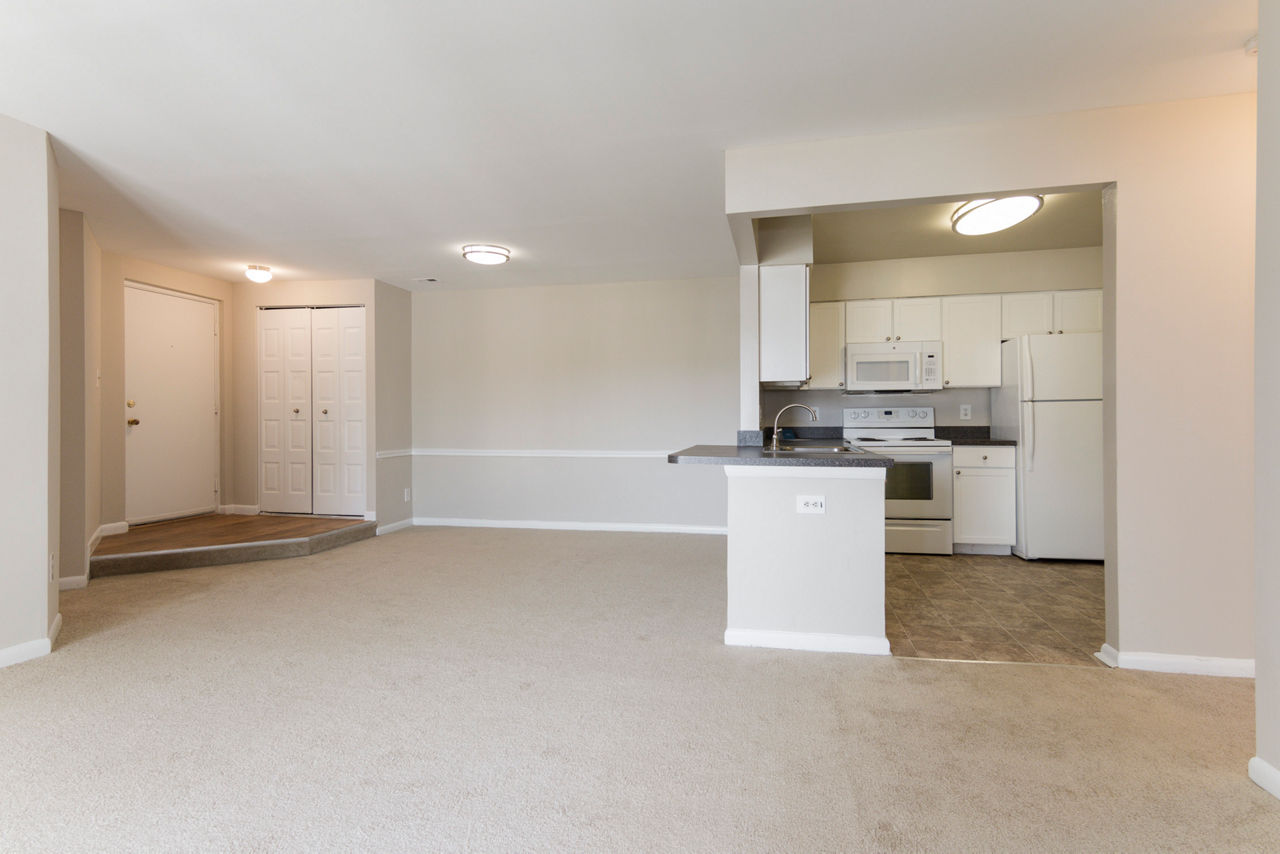 Spacious living room with contemporary furniture and light accents in Avana Oak Mill Apartments