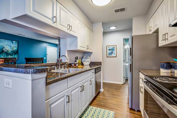 kitchen at Avana Heather Ridge Apartments