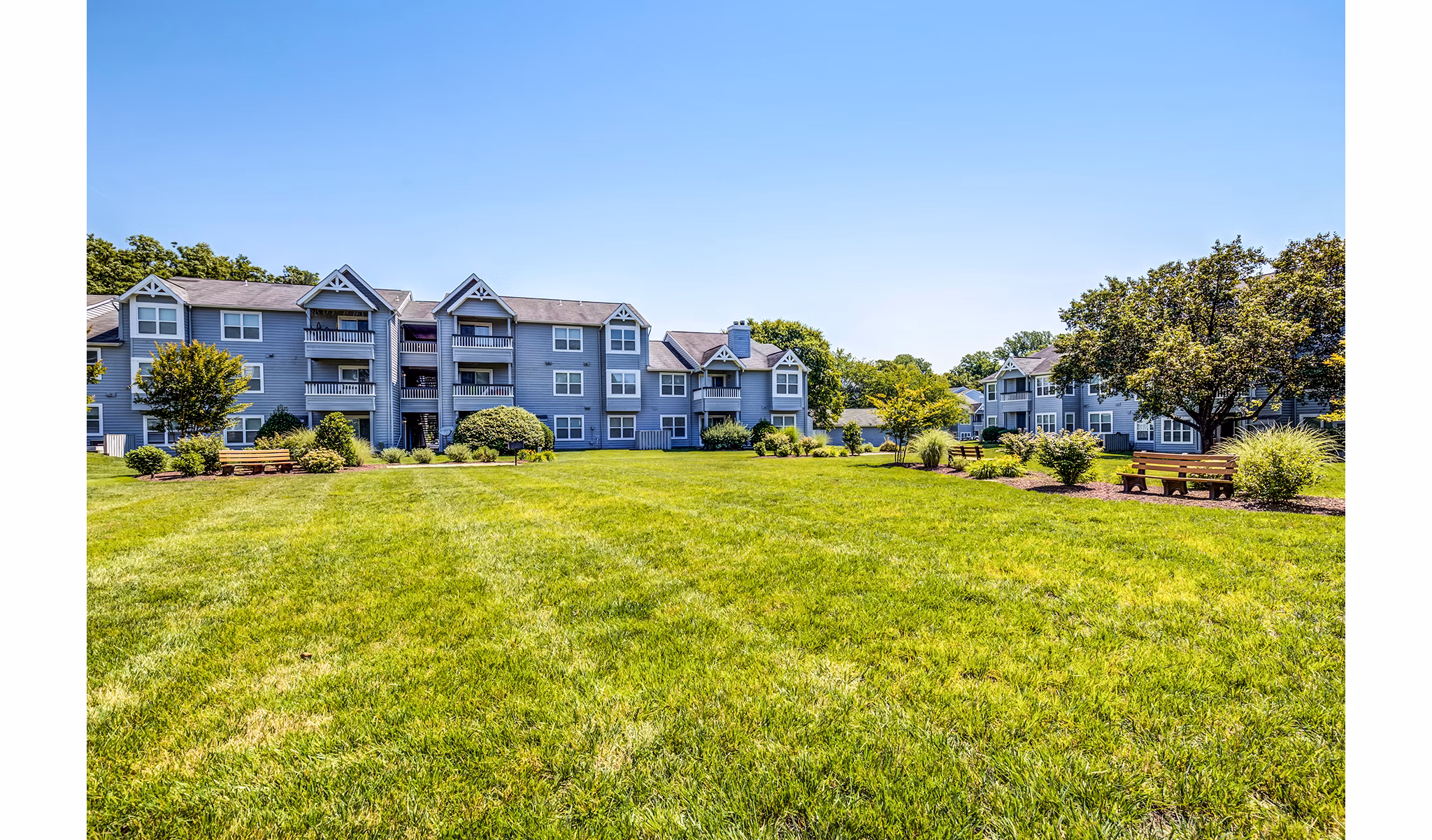 Courtyard with lush landscaping and seating at Avana Heather Ridge Apartments
