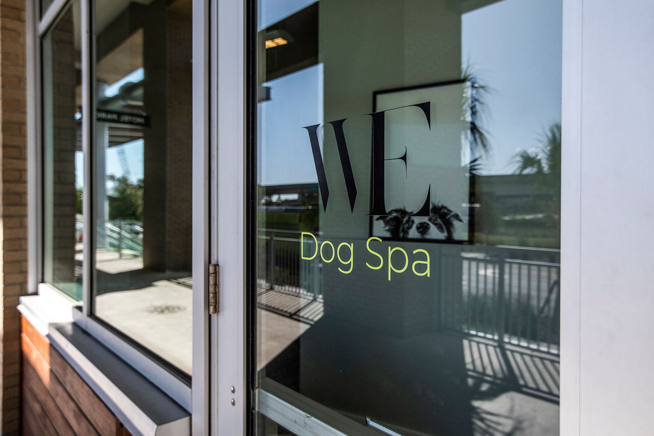 Dog spa featuring luxury pet grooming stations at 10 WestEdge Apartments