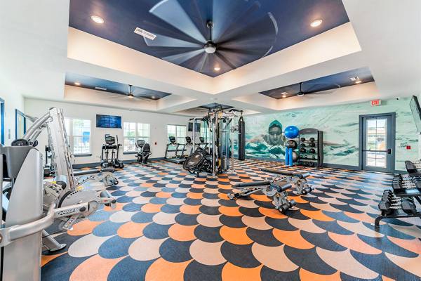fitness center at The Reserve at Venice Apartments