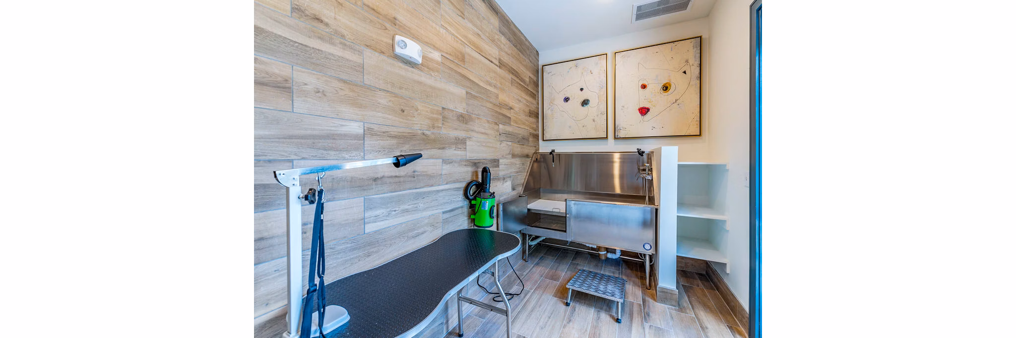 Convenient dog wash station at The Reserve at Venice Apartments for luxurious pet care in a premier living community