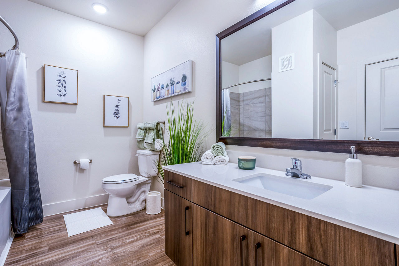 Bathroom with modern fixtures at Larkspur at Shadow Creek Apartments