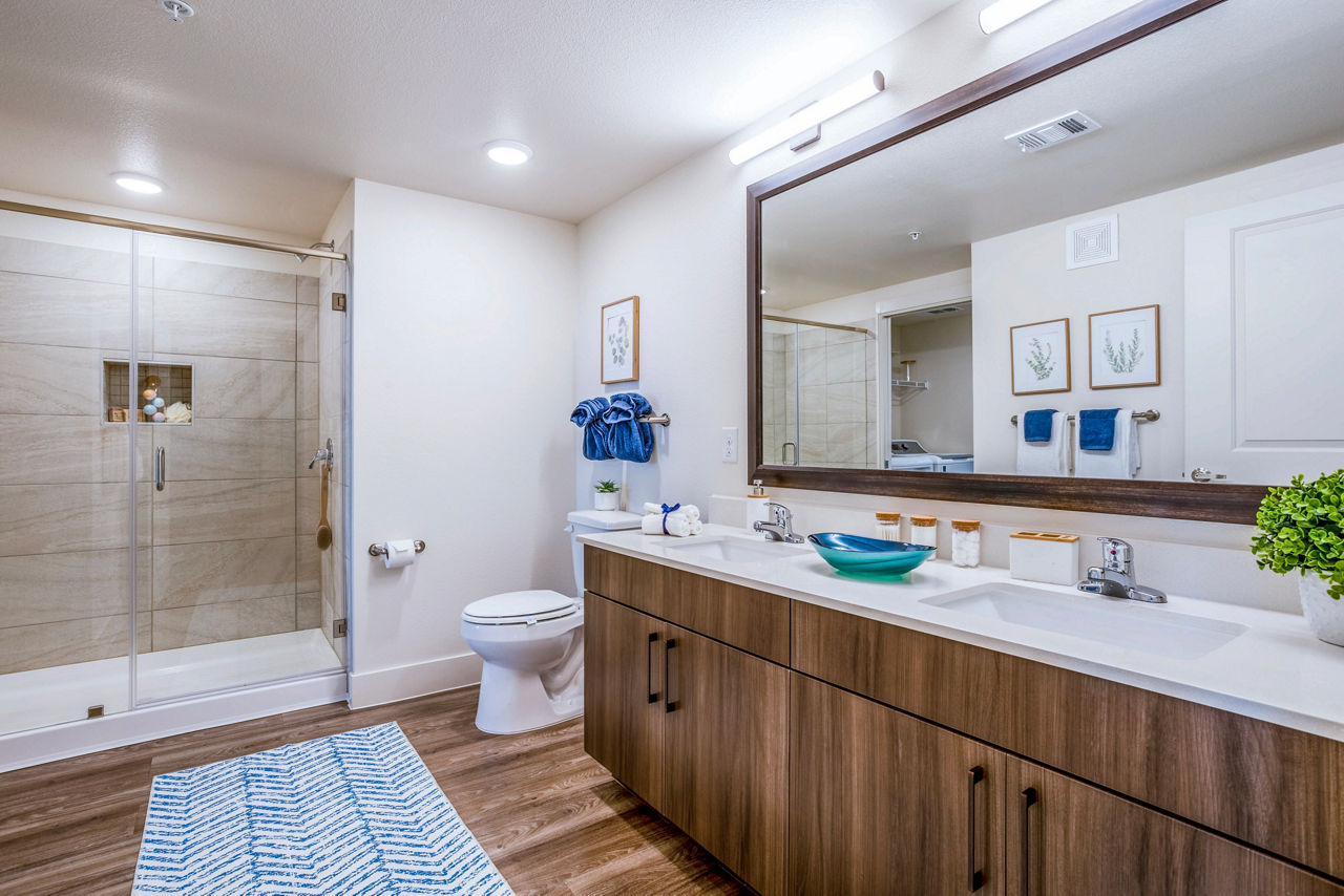 Bathroom with elegant vanity and soaking tub in Larkspur at Shadow Creek Apartments