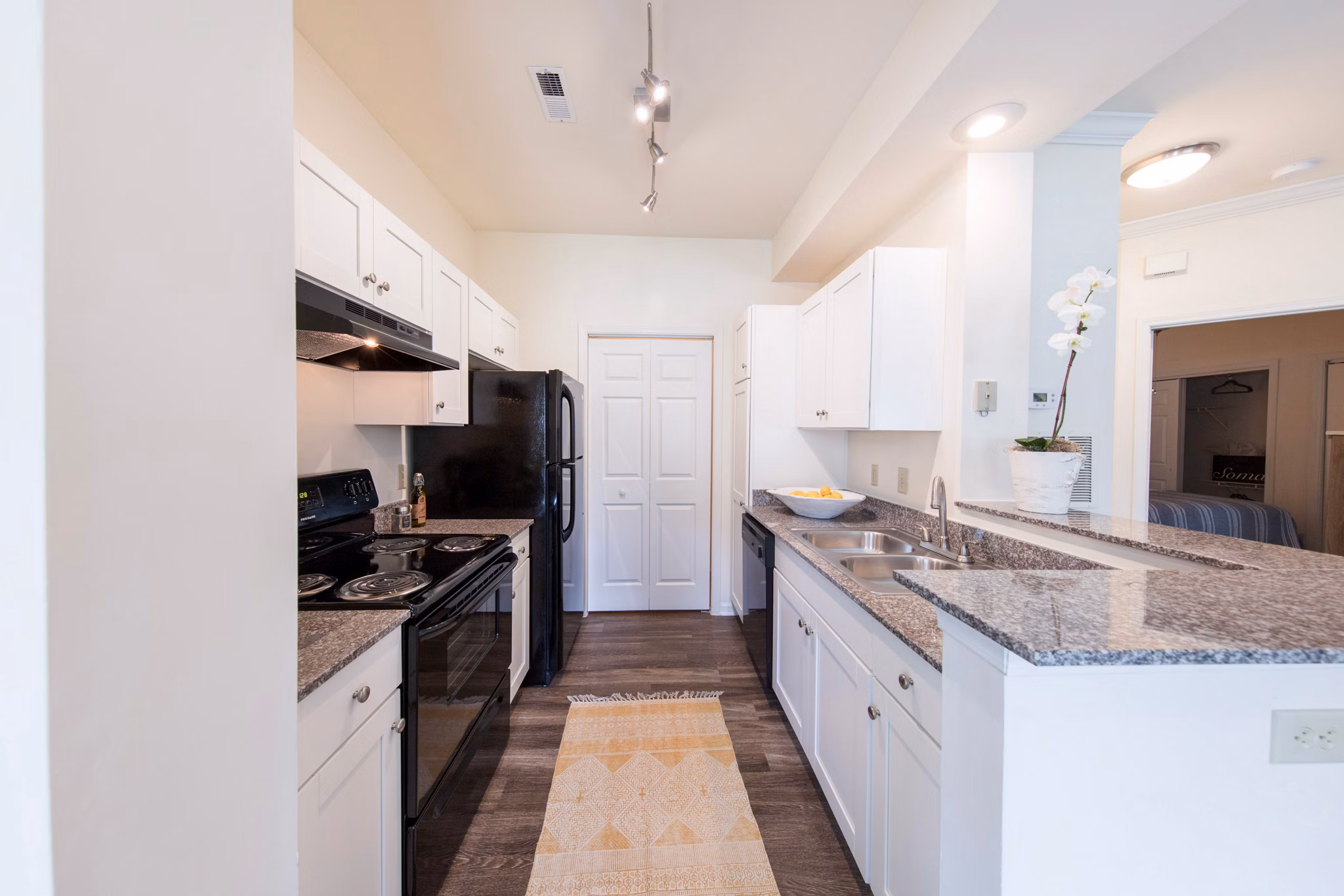 Modern kitchen with stainless steel appliances at 42 Magnolia, Forest Apartments in a luxury setting