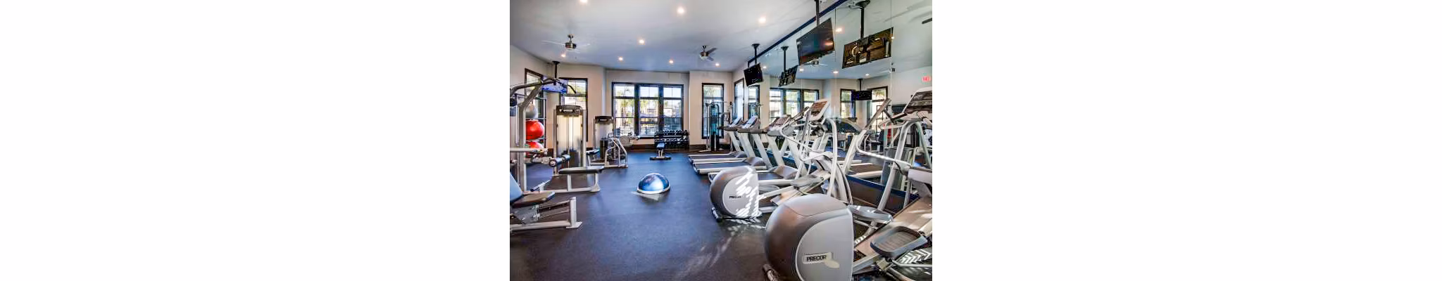 Modern fitness center with state-of-the-art equipment at Tapestry at Lake Park Apartments