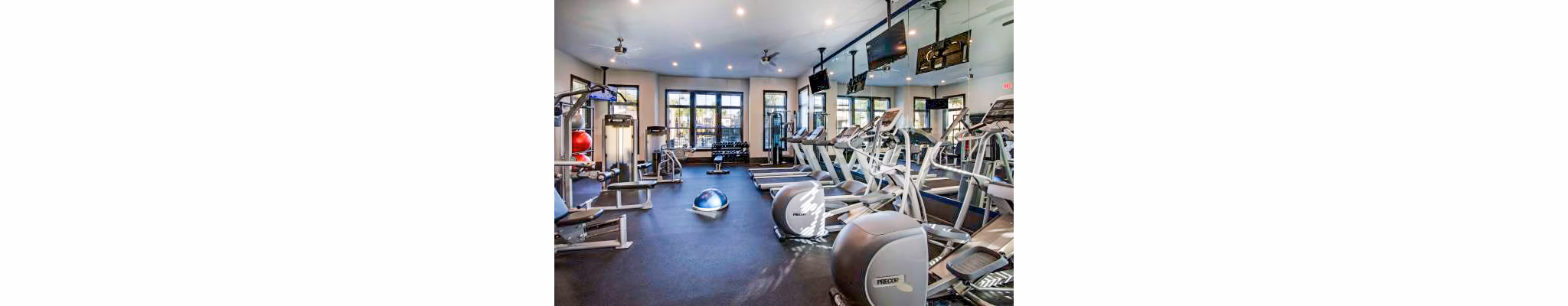 Modern fitness center with state-of-the-art equipment at Tapestry at Lake Park Apartments