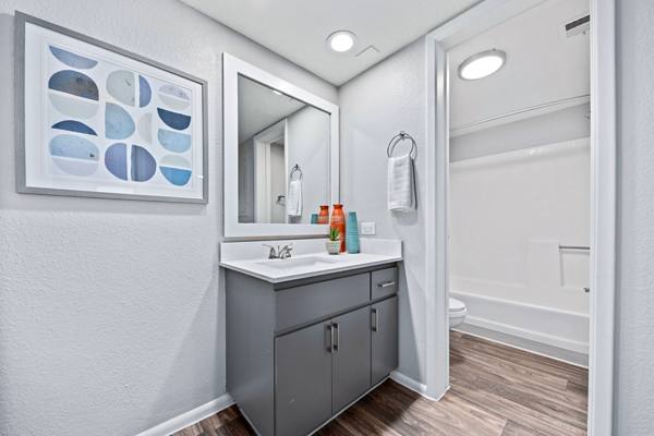 bathroom at Pointe at South Mountain Apartments