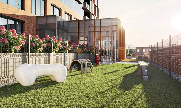 dog park at One Six Six Apartments