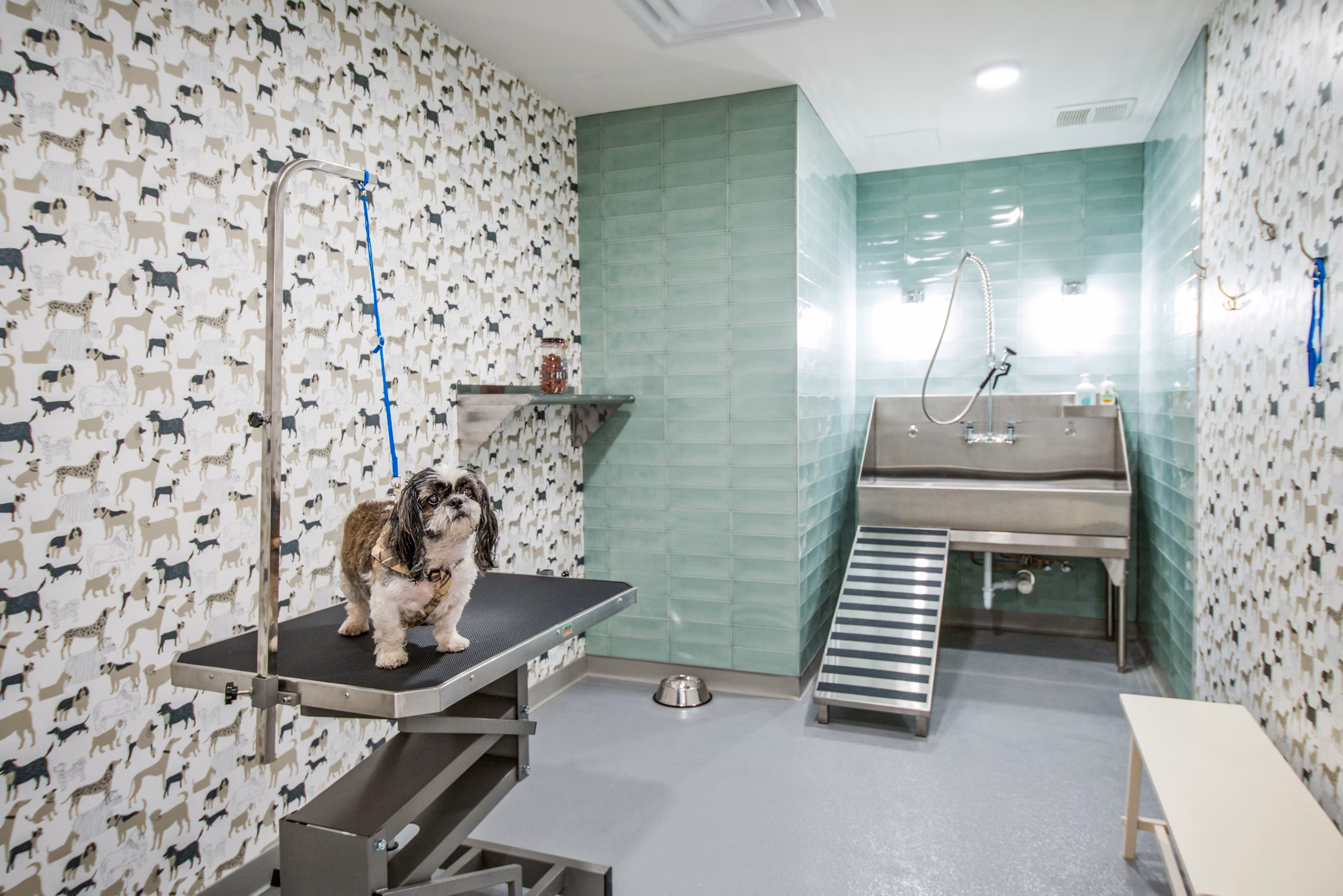 Dog wash station at Avidor Glenview Apartments: Convenient pet-friendly amenity with grooming facilities for residents' convenience