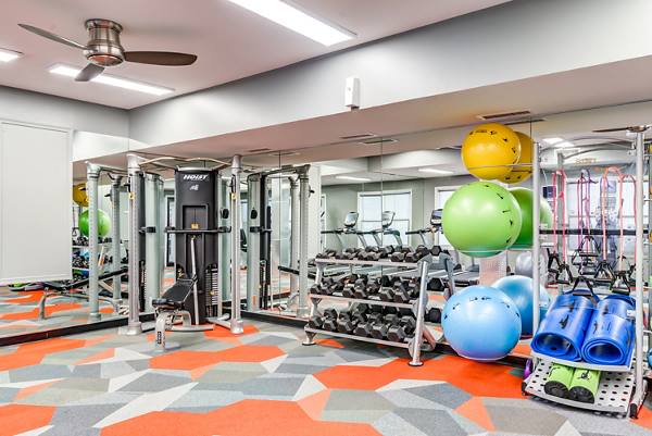 fitness center at Avana Red Run Apartments