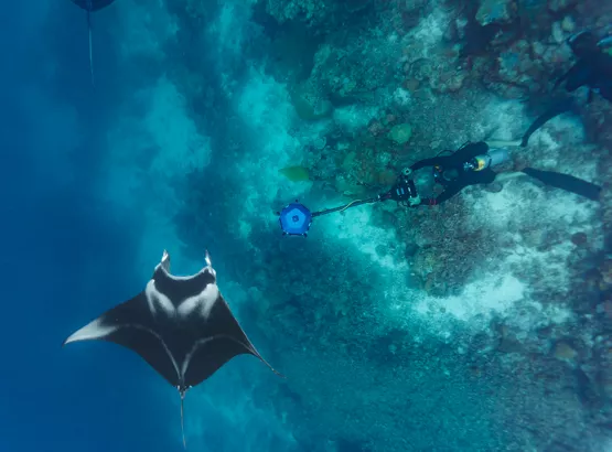 Filming a manta ray in the reefs off Palau for The Hydrous's IMMERSE.