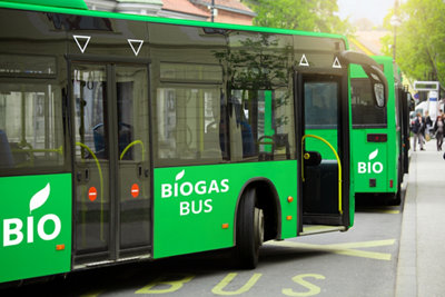 Buses powered by biogas. Carbon neutral transportation concept.